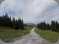 Auffahrt zur Wasserfalleralm
